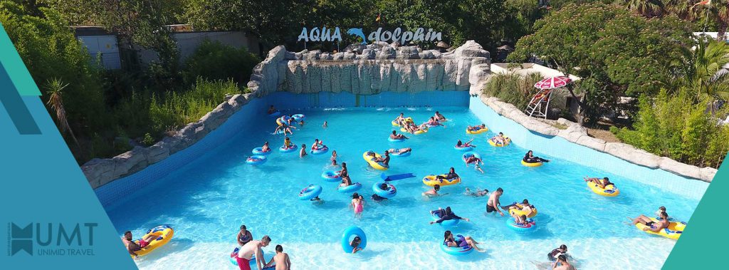 aqua-club-dolphin