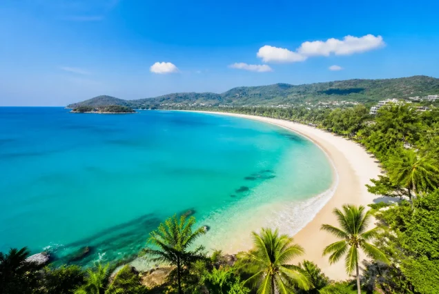 Phuket’in palmiye ağaçları ve bembeyaz plajıyla ünlü tropikal sahil manzarası