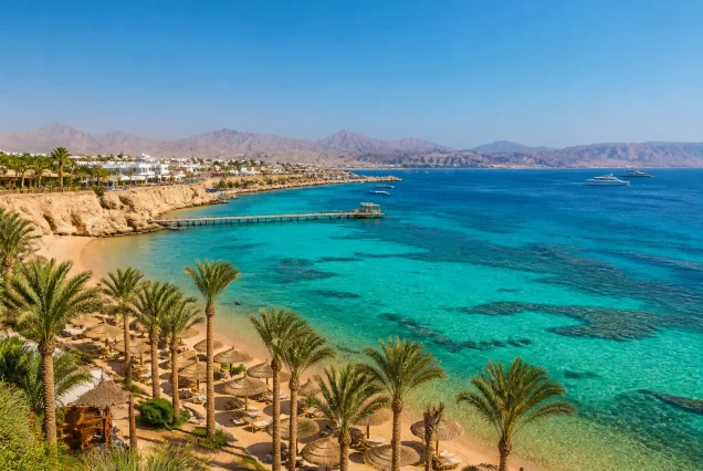Mısır Sharm El Sheikh sahilinde turkuaz deniz ve palmiye ağaçları