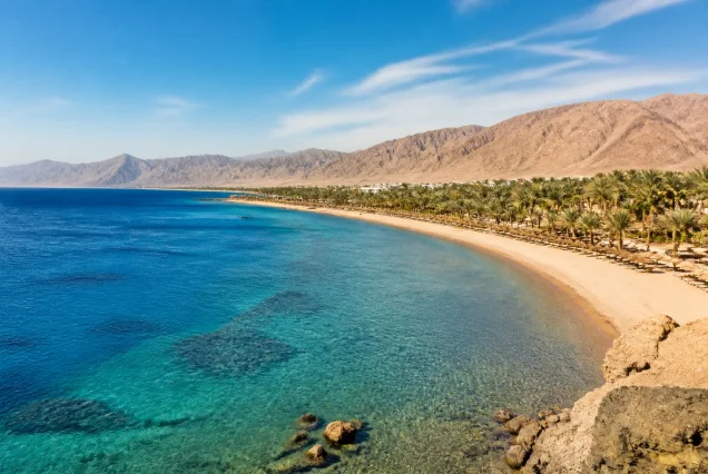 Mısır Sharm El Sheikh sahilinde turkuaz deniz ve palmiye ağaçları
