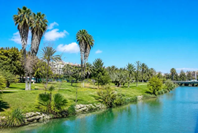 Kıbrıs Lefkoşa'da nehir kenarında park ve palmiye ağaçlarıyla güneşli bir gün manzarası