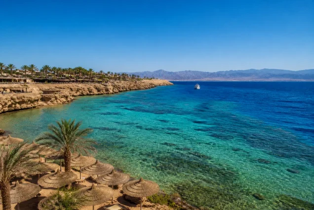 Sharm El Sheikh sahilinde berrak turkuaz deniz ve palmiye ağaçları