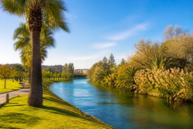 Kıbrıs Lefkoşa'da nehir kenarında park ve palmiye ağaçlarıyla güneşli bir gün manzarası