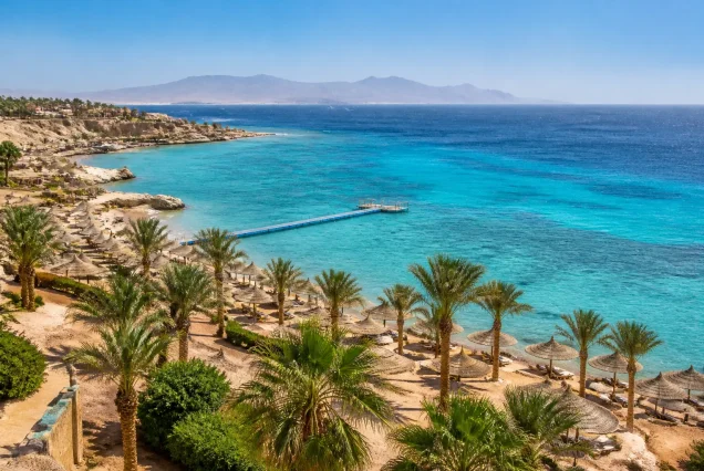 Sharm El Sheikh sahilinde berrak turkuaz deniz ve palmiye ağaçları