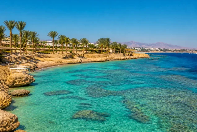 Sharm El Sheikh sahilinde berrak turkuaz deniz ve palmiye ağaçları