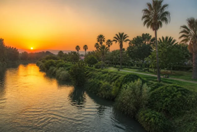 Kıbrıs Lefkoşa'da nehir kenarında park ve palmiye ağaçlarıyla güneşli bir gün manzarası