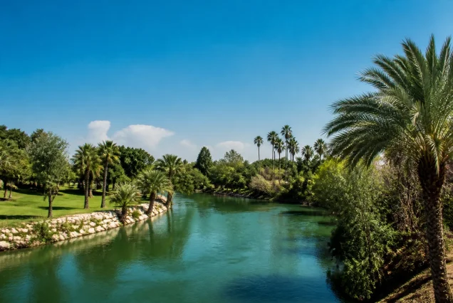 Kıbrıs Lefkoşa'da nehir kenarında park ve palmiye ağaçlarıyla güneşli bir gün manzarası
