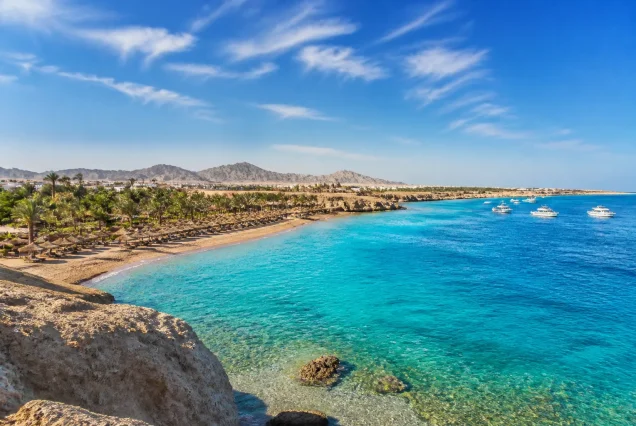 Sharm El Sheikh sahilinde berrak turkuaz deniz ve palmiye ağaçları