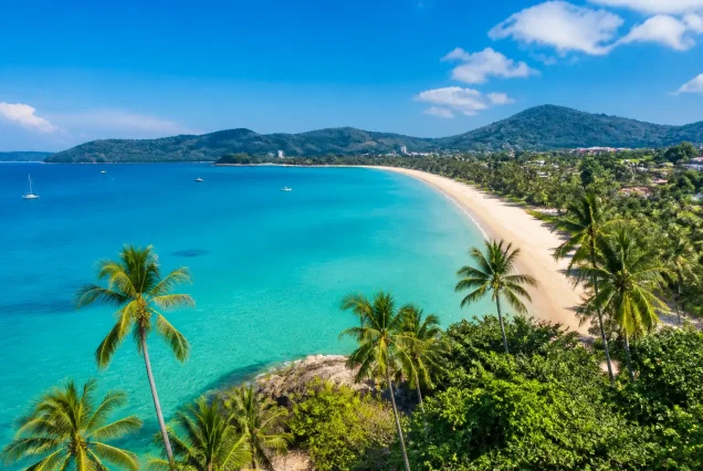 Phuket’in palmiye ağaçları ve bembeyaz plajıyla ünlü tropikal sahil manzarası