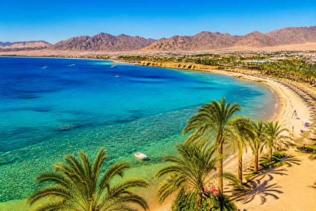 Mısır Sharm El Sheikh sahilinde turkuaz deniz ve palmiye ağaçları