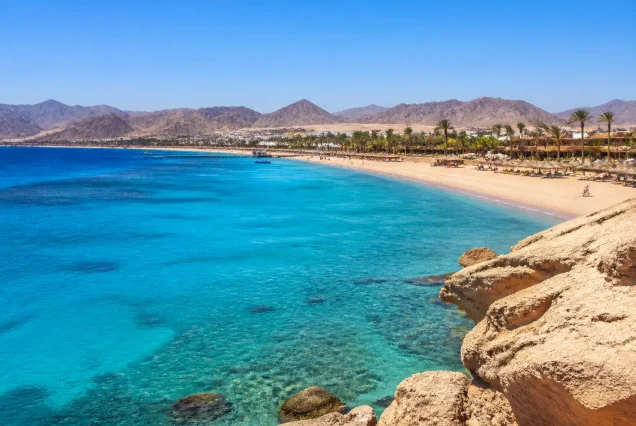 Mısır Sharm El Sheikh sahilinde turkuaz deniz ve palmiye ağaçları